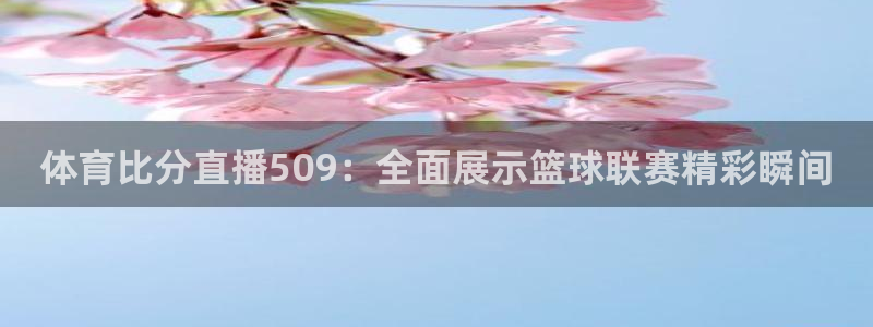 勇士vs火箭直播免费观看