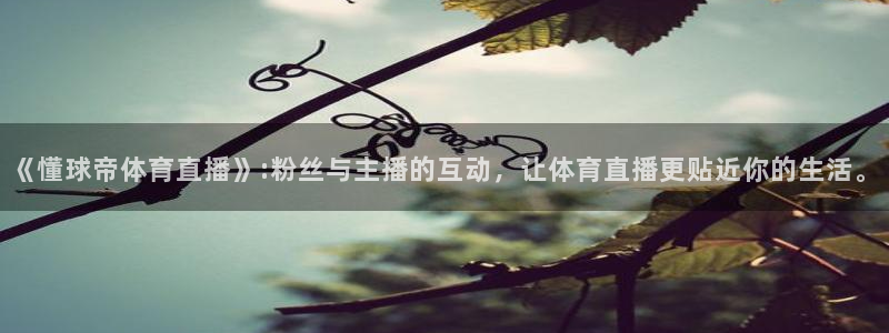 火箭直播吧jrs