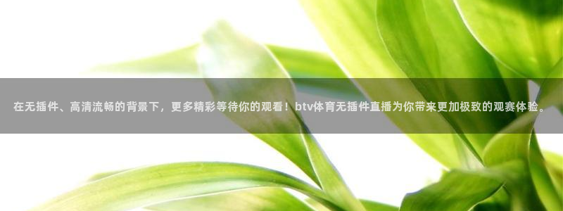 火箭直播观看
