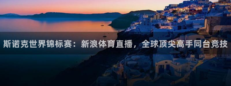 火箭直播tv