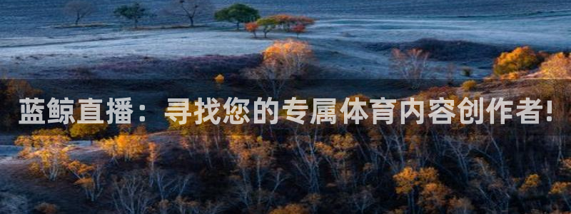火箭直播视频在线直播