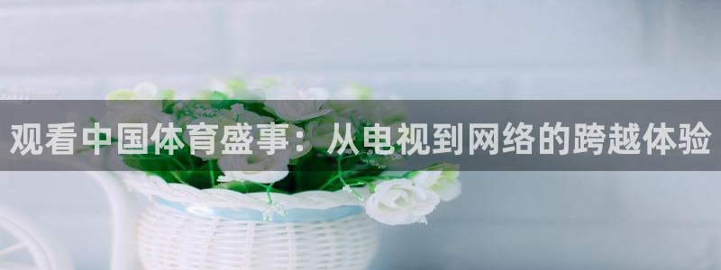 火箭直播吧：观看中国体育盛事：从电视到网络的跨越体验